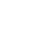 Logo White - BAI