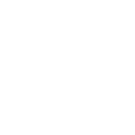 Logo - Ninthroot