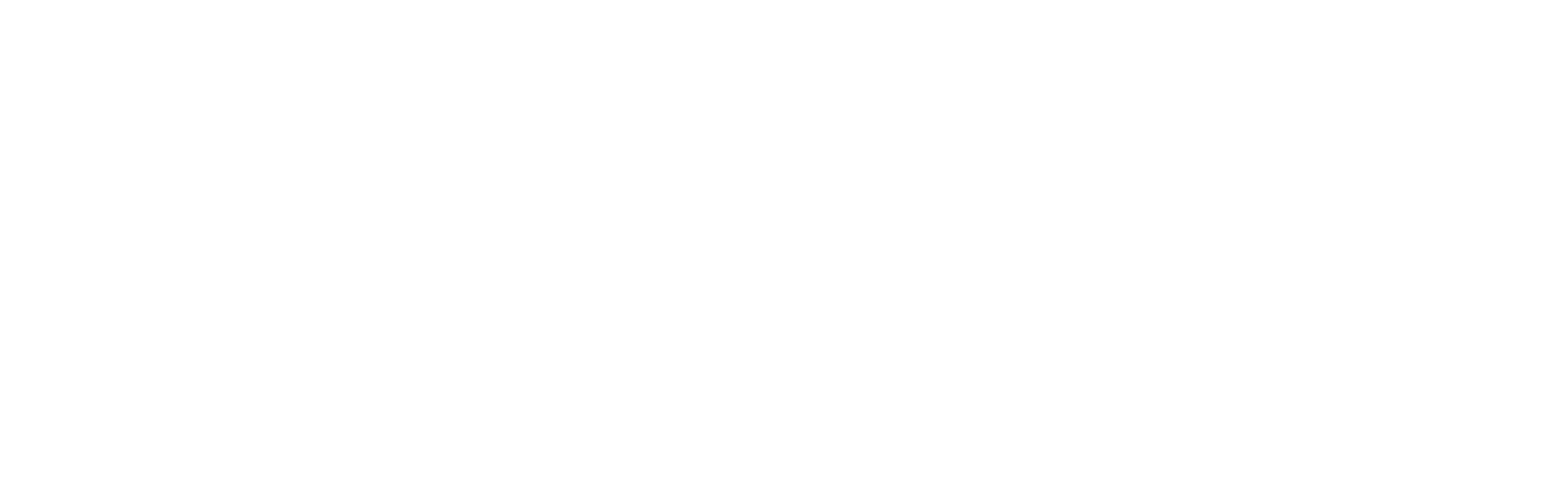 Logo White - Raintree, The Franchise Growth Experts