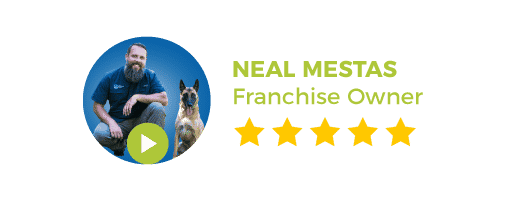 Graphic: 5 Star Review