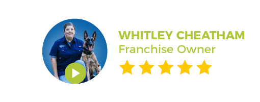 Graphic: 5 Star Review