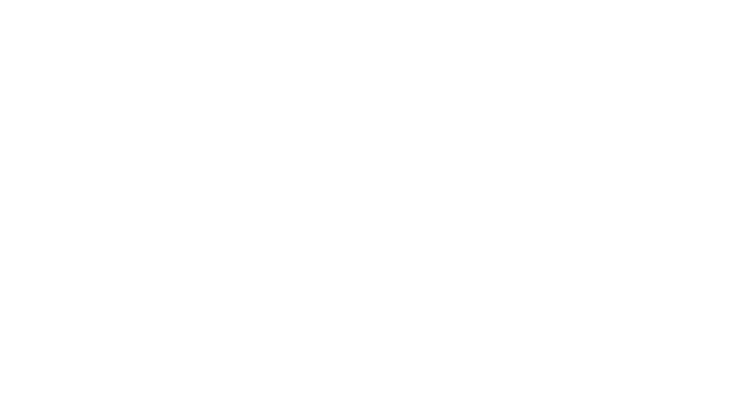 Logo - Koala Insulation Franchise
