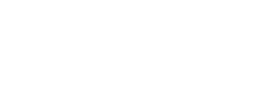 Logo - Tippi Toes Franchise