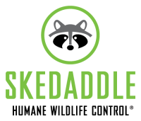 Logo - Skedaddle Humane Wildlife Control